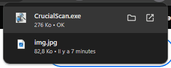 crucialscanexe.png