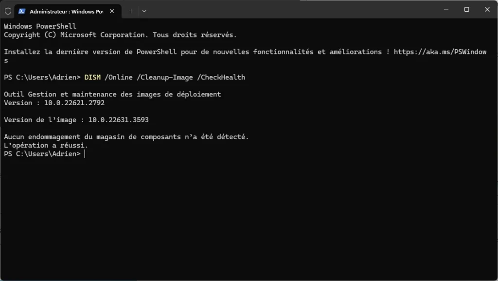 DISM CheckHealth