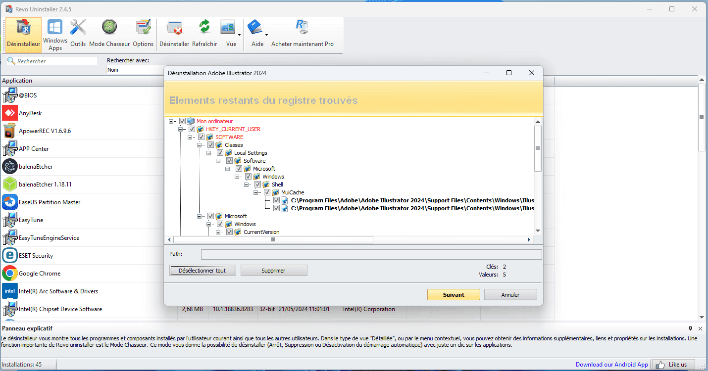 Remove remaining registry entries Revo Uninstaller