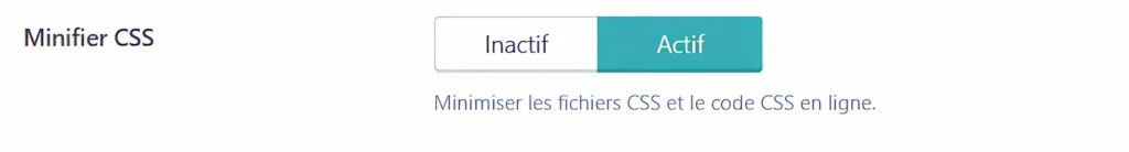 Minifier les fichiers CSS avec LSCache