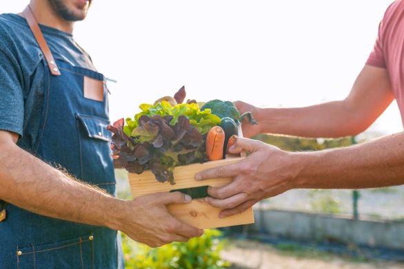 comment améliorer votre référencement local