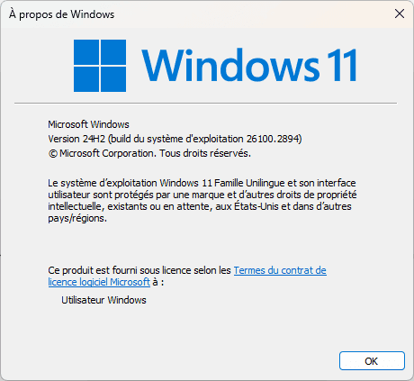 acerca de la versión del sistema operative windows 11