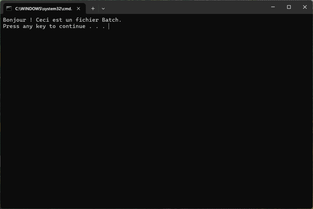 Lancement d'un script.bat depuis l'invite de commande (CMD).