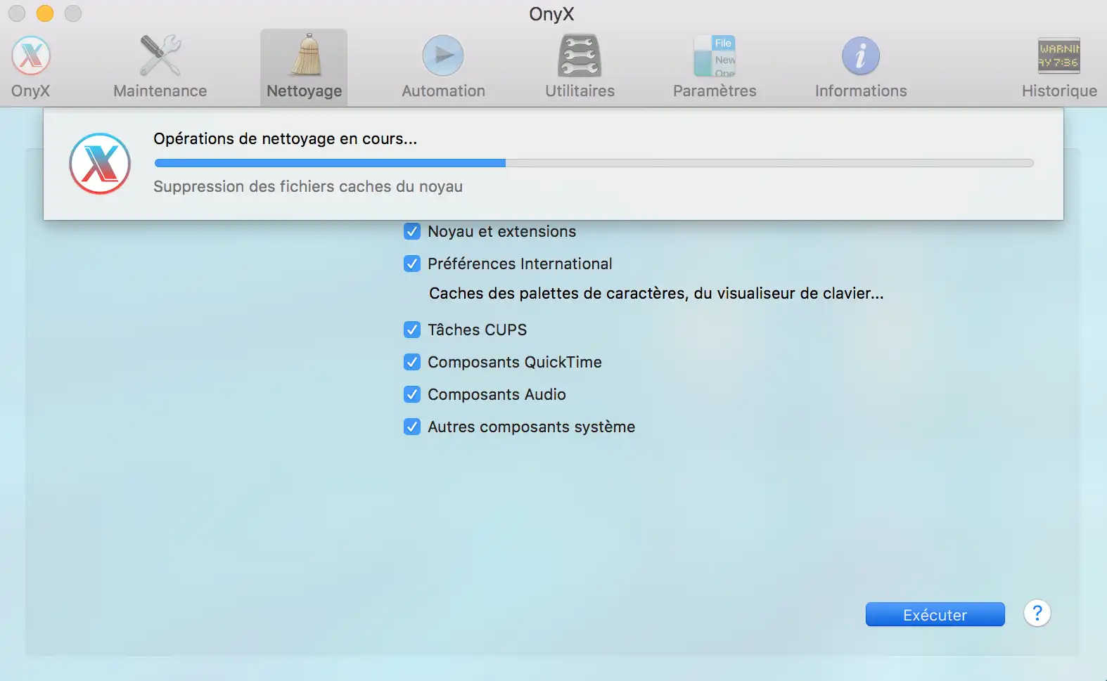 Optimización de Mac con OnyX: eliminación de cachés del sistema y del núcleo para mejorar el rendimiento